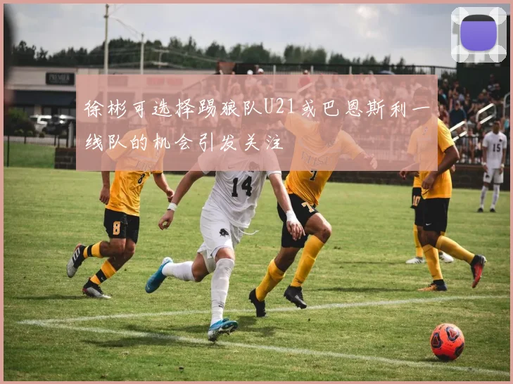 徐彬可选择踢狼队U21或巴恩斯利一线队的机会引发关注