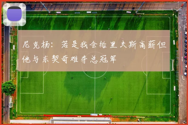 尼克杨：若是我会给里夫斯高薪但他与东契奇难夺总冠军