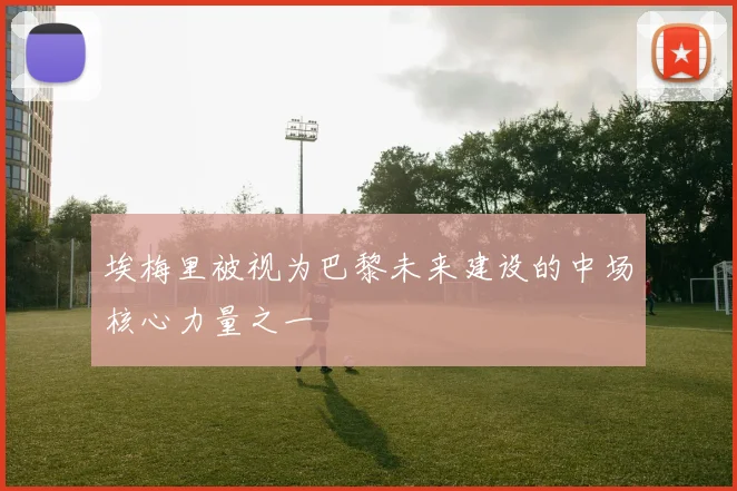 埃梅里被视为巴黎未来建设的中场核心力量之一